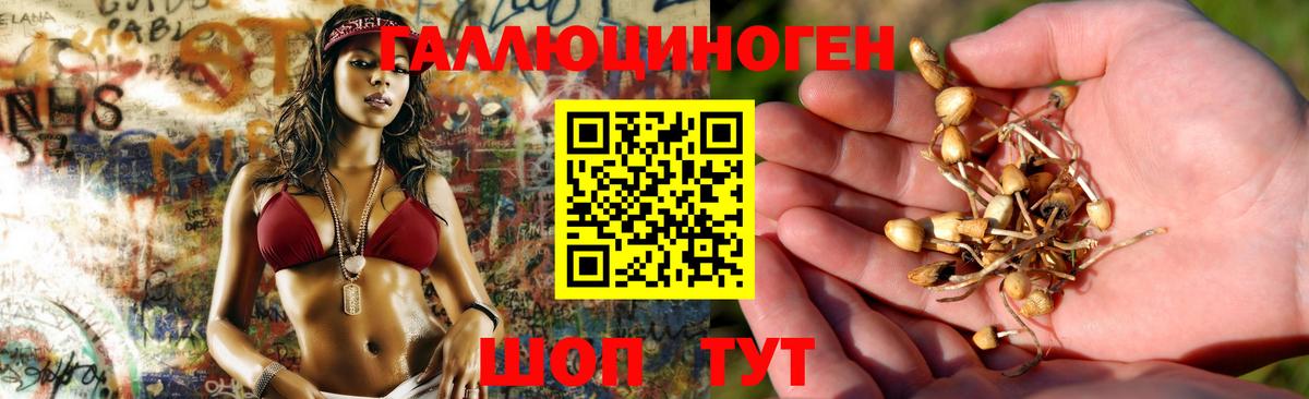 Галлюциногенные грибы GOLDEN TEACHER  Вход с VPN  купить   Вязники 